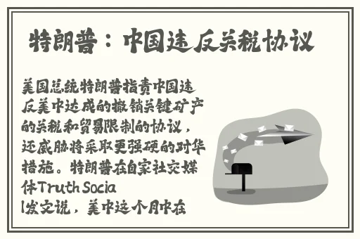 大象视频dx2022回家导航